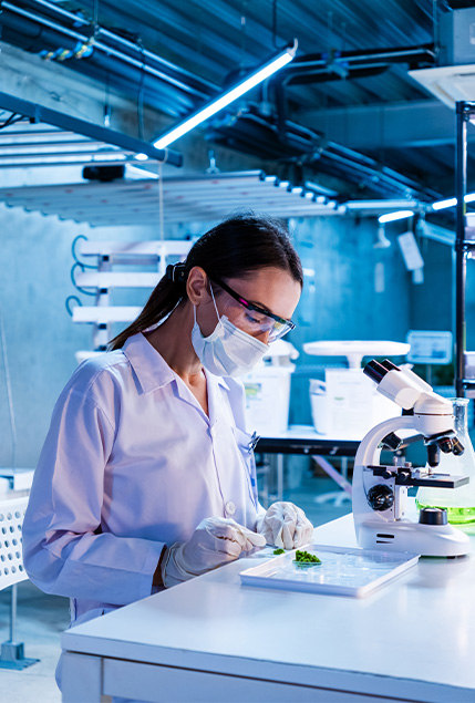 Social Events & engagements